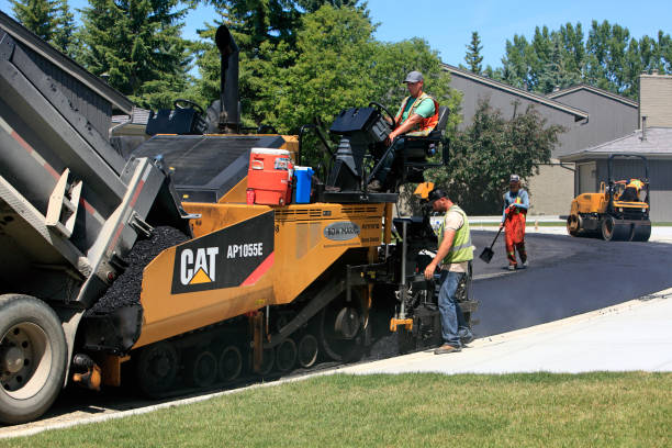 Best Driveway Pavers Near Me  in Mammoth Spring, AR